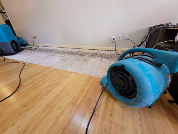 Professional Flood Damage Cleanup technician working in Baldwin Place, NY